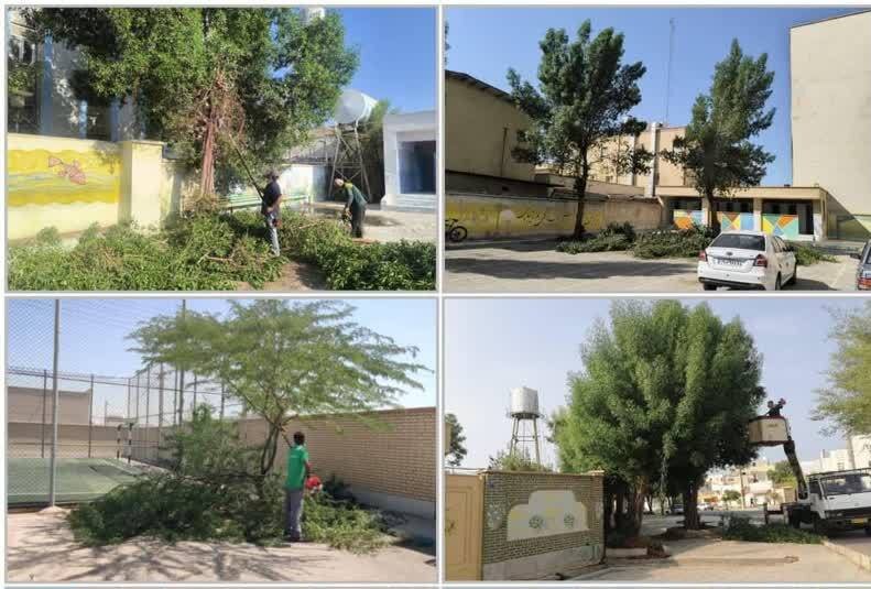 آغاز طرح هرس و پاکسازی فضای سبز مدارس در بوشهر