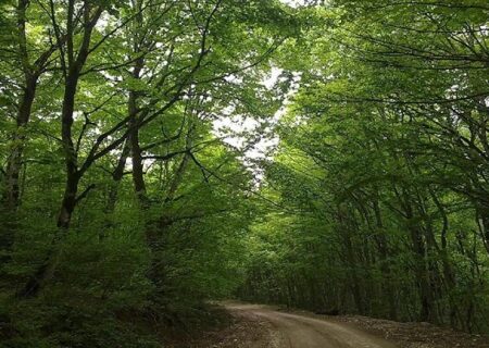 «روز جهانی زیستگاه»: هشداری جدی برای آینده محل سکونت انسان‌ها
