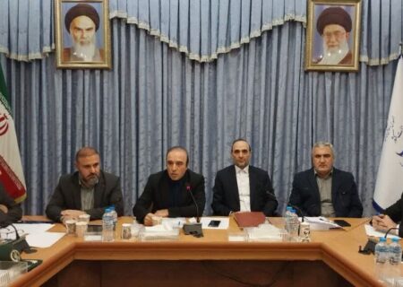 صدور مجوز واردات نهاده‌های دامی در استان اردبیل به گفته خلیلی