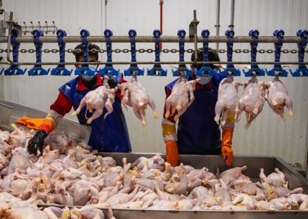 اعلام قیمت جدید انواع گوشت مرغ در بازار