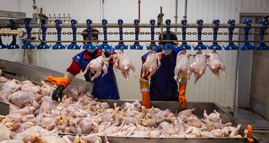 اعلام قیمت جدید انواع گوشت مرغ در بازار