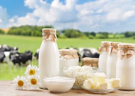 شیر چاق‌کننده است؟