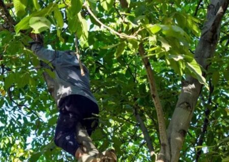 یک جان‌باخته و ۵۲ مصدوم در گردو تکانی استان همدان