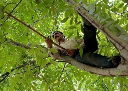 یک کشته و ۵۲ مصدوم بر اثر گردو تکانی در همدان