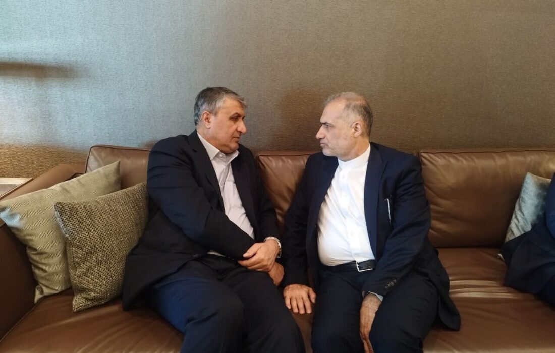 رئیس سازمان انرژی اتمی وارد مسکو شد