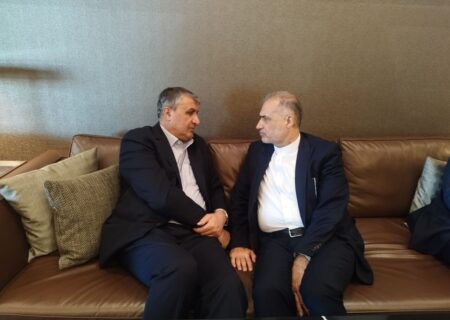 رئیس سازمان انرژی اتمی وارد مسکو شد