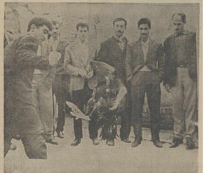 تصمیم تشکیلاتی خروسبازان تهران در نیم قرن پیش!