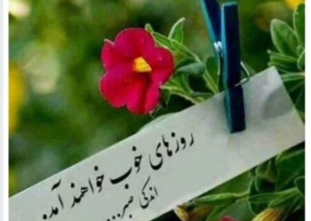 کاهش چشمگیر آمار خودکشی در همدان؛ افت ۳۵ درصدی در نیمه اول سال