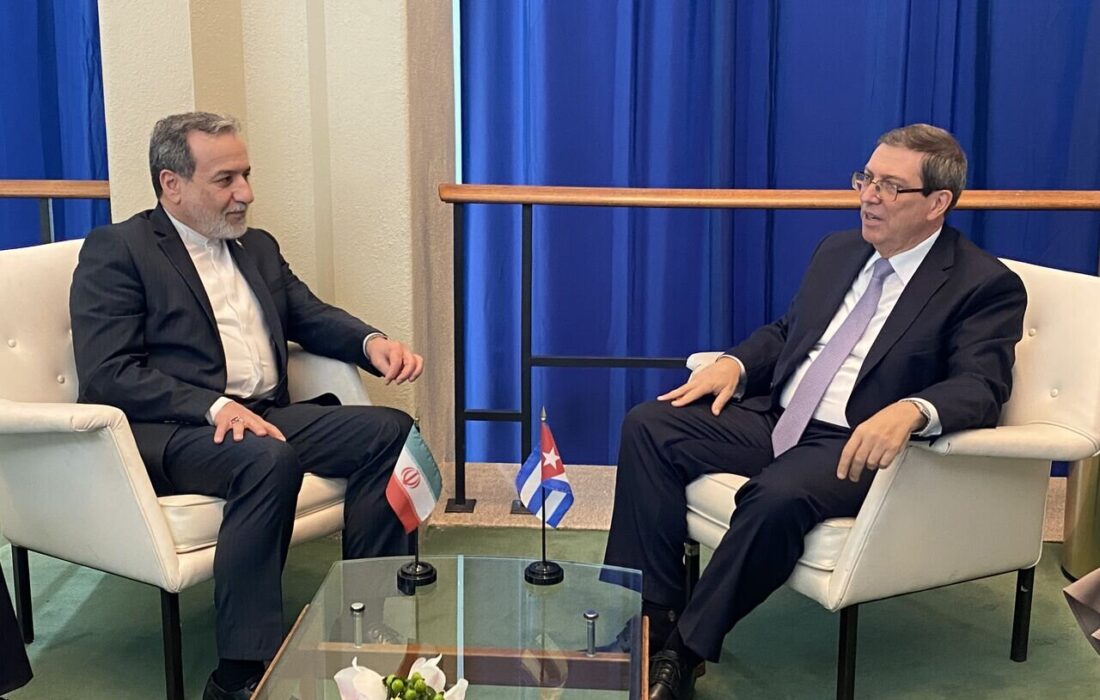 دیدار و گفتگوی عراقچی با رودریگز؛ رایزنی دیپلماتیک در وین