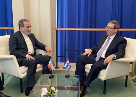 دیدار و گفتگوی عراقچی با رودریگز؛ رایزنی دیپلماتیک در وین