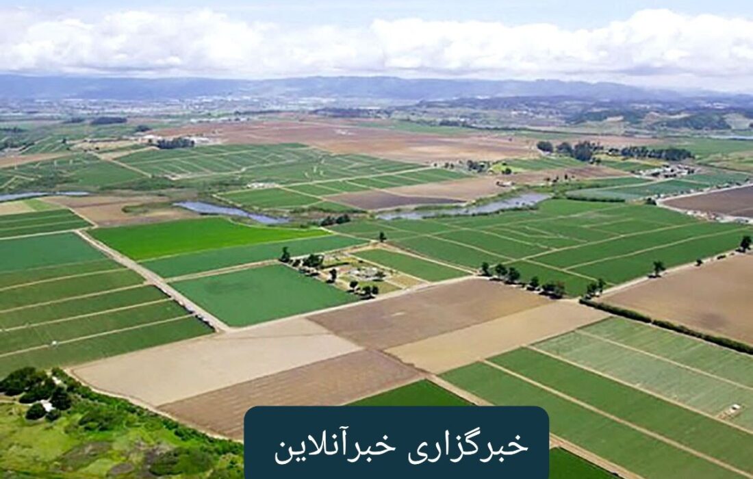 صدور ۱۰ سند کاداستر برای ۲۵ هکتار از زمینهای کشاورزی مسجدسلیمان تایید شد