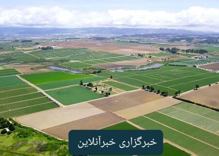 صدور ۱۰ سند کاداستر برای ۲۵ هکتار از زمین‌های کشاورزی مسجدسلیمان تایید شد