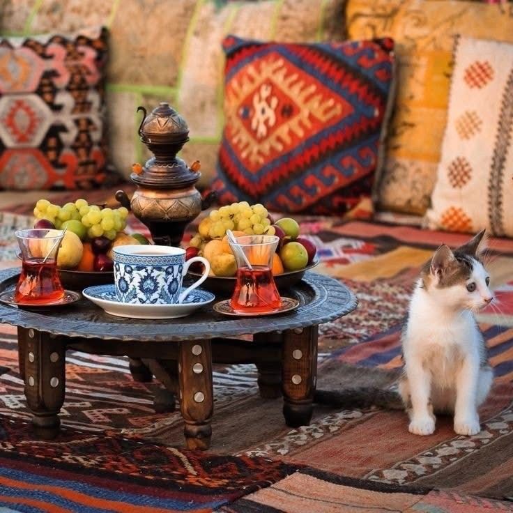 معرفی بهترین تورهای داخلی ایران