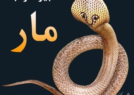 تعبیر خواب مار