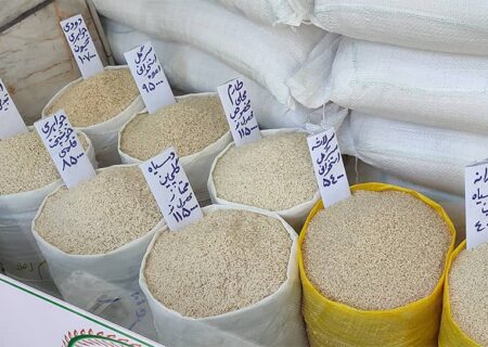 برنج؛ راهنمای کامل انتخاب، پخت و خواص غذایی 🍚🌾