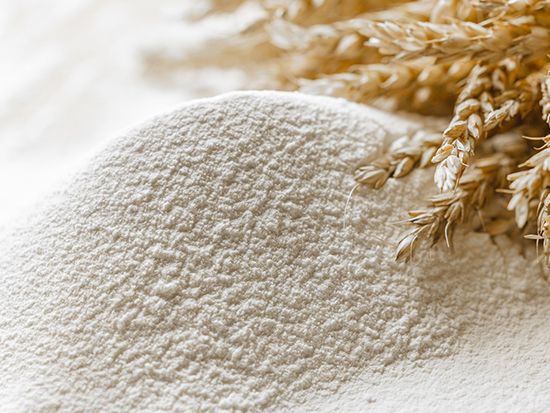 خمیر: از آرد و آب تا دنیایی از طعم و هنر