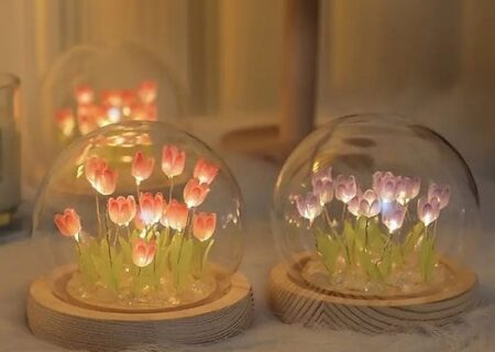 راهنمای جامع خرید و چیدمان وسایل دکوری: خلق فضایی زیبا و دلنشین