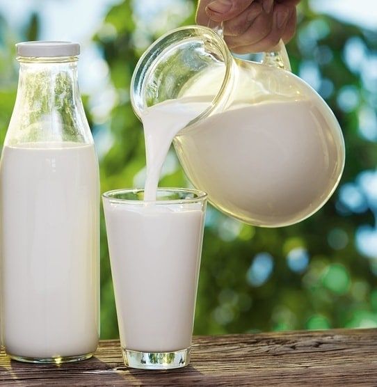 فروشگاه لبنیات آنلاین: طراوت مزرعه در خانه شما