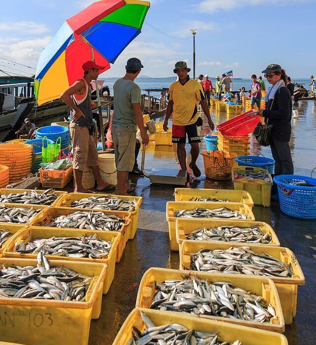 فروشگاه غذای دریایی آنلاین: دریچهای به طراوت اقیانوسها در خانه شما