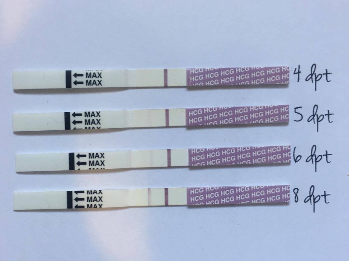 راهنمای کامل نوارهای تست بارداری: از نحوه عملکرد تا نکات کلیدی برای استفاده