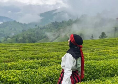 سفر به شمال ایران؛ از جنگل تا دریا