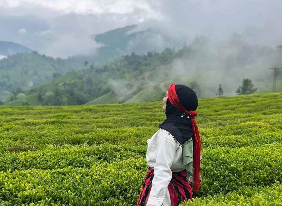 سفر به شمال ایران؛ از جنگل تا دریا