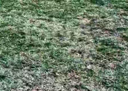 وضعیت عجیب چمن ورزشگاه تختی ساعاتی پیش از دیدار چادرملو و پرسپولیس!/ ویدئو