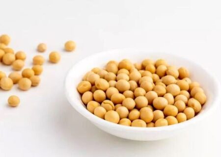 یک پروتئین گیاهی؛ از خواص و فرآورده های متنوع تا موارد احتیاط