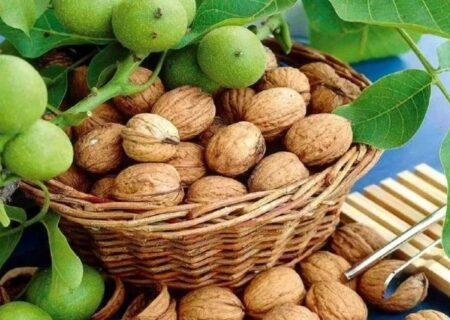 یک جان‌باخته و ۵۲ مصدوم در گردو تکانی استان همدان