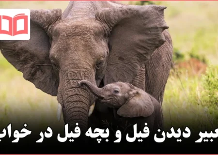 تعبیر خواب فیل