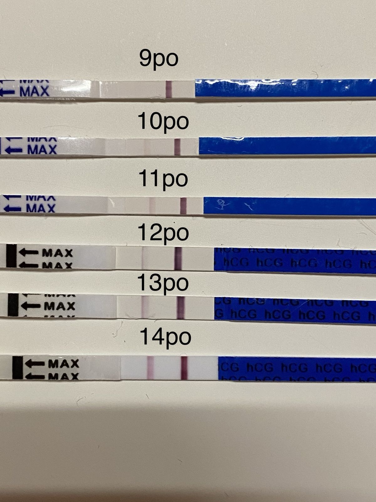 راهنمای کامل نوارهای تست بارداری: از نحوه عملکرد تا نکات کلیدی برای استفاده