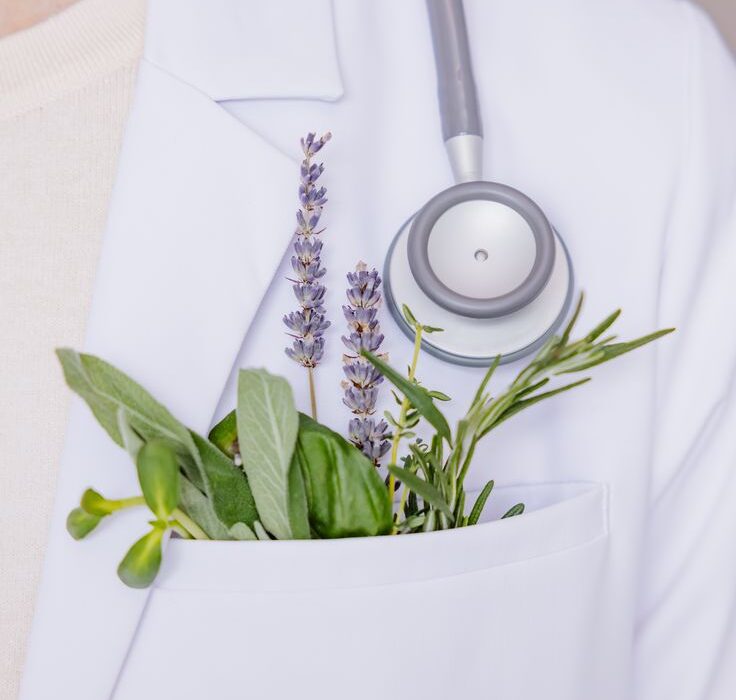 🌿 محصولات طب سنتی: گنجینه سلامتی از دل طبیعت تا دنیای امروز