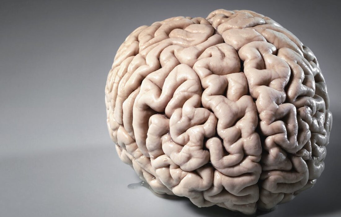 مهارتهای ضروری برای افزایش قدرت حافظه، تمرکز و مطالعه مؤثر