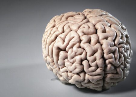 مهارت‌های ضروری برای افزایش قدرت حافظه، تمرکز و مطالعه مؤثر