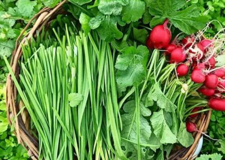 نقش سبزی در پیشگیری و درمان بیماری‌ها