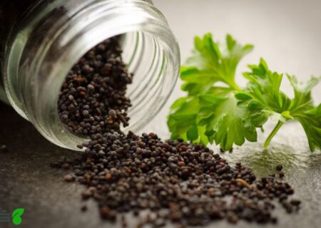 💎 راهنمای کامل بذر خوراکی: از خواص درمانی تا روش مصرف و معرفی بهترین‌ها 🌱✨