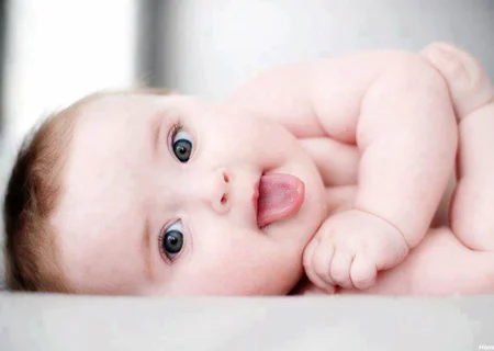 فرزندآوری /آخرین اخبار فرزند پروری