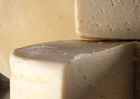 پنیر: از یک غذای ساده تا دنیایی از طعم و عطر