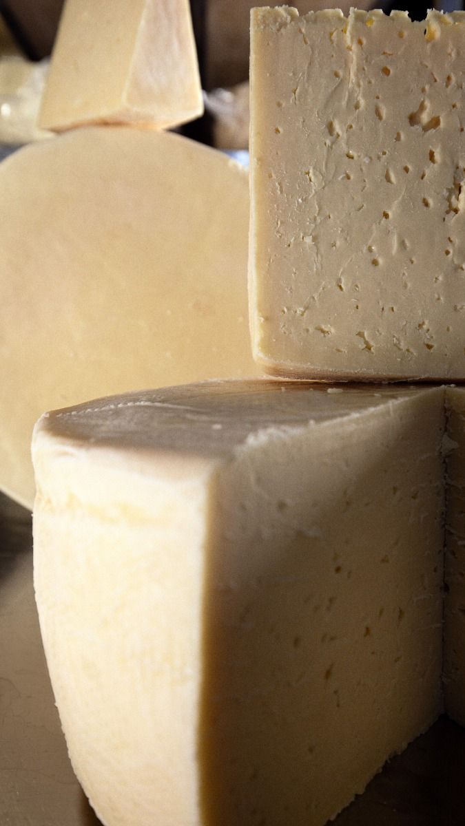 پنیر: از یک غذای ساده تا دنیایی از طعم و عطر