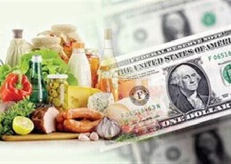 هشدار جدی سازمان برنامه و بودجه درباره تبعات تورمی ارز تک نرخی؛ پیشنهاد مشاور مدنی‌زاده متوقف شد