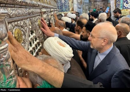 رئیس مجلس در حرم حضرت فاطمه معصومه (س) حضور یافت