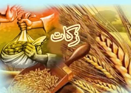 تعبیر خواب زکات: گامی به سوی پاکی و برکت در عالم رؤیا