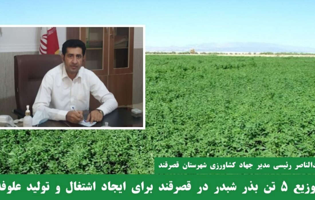 توزیع 5 تن بذر شبدر در قصرقند؛ گامی برای اشتغالزایی و رونق تولید علوفه