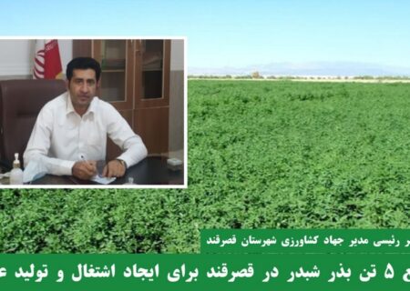 توزیع 5 تن بذر شبدر در قصرقند؛ گامی برای اشتغال‌زایی و رونق تولید علوفه