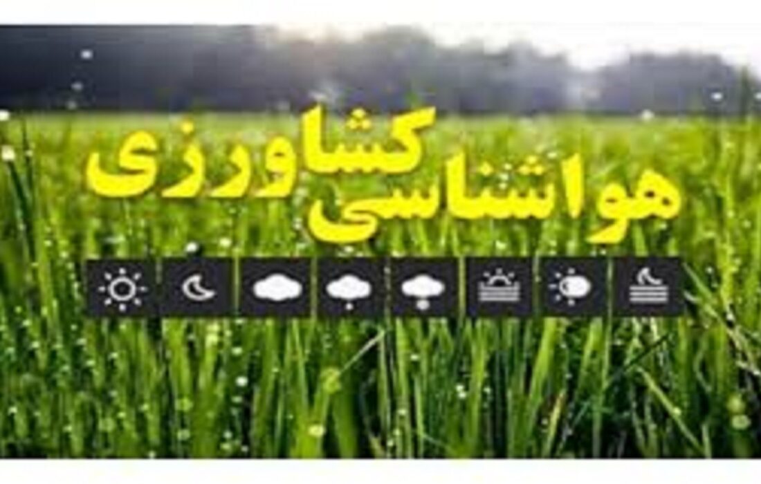 لزوم تسریع در برداشت میوه و انتقال به انبارهای سرپوشیده