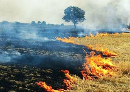 مجازات در انتظار متخلفان حوزه پس‌ماندهای کشاورزی