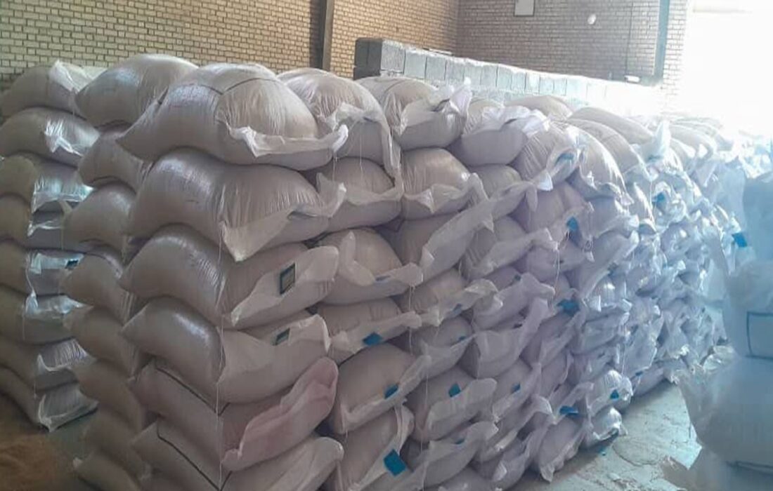 کشاورزان دست به کار شوند؛ برنامه ریزی برای توزیع بذر گندم آغاز شد