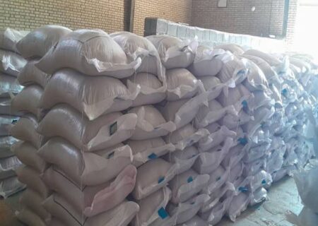 کشاورزان دست به کار شوند؛ برنامه ریزی برای توزیع بذر گندم آغاز شد