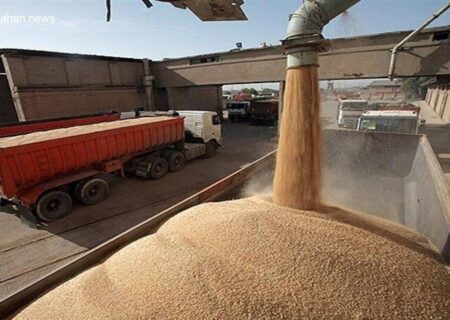 ورود 5 هزار تن گندم به بندر امیرآباد مازندران