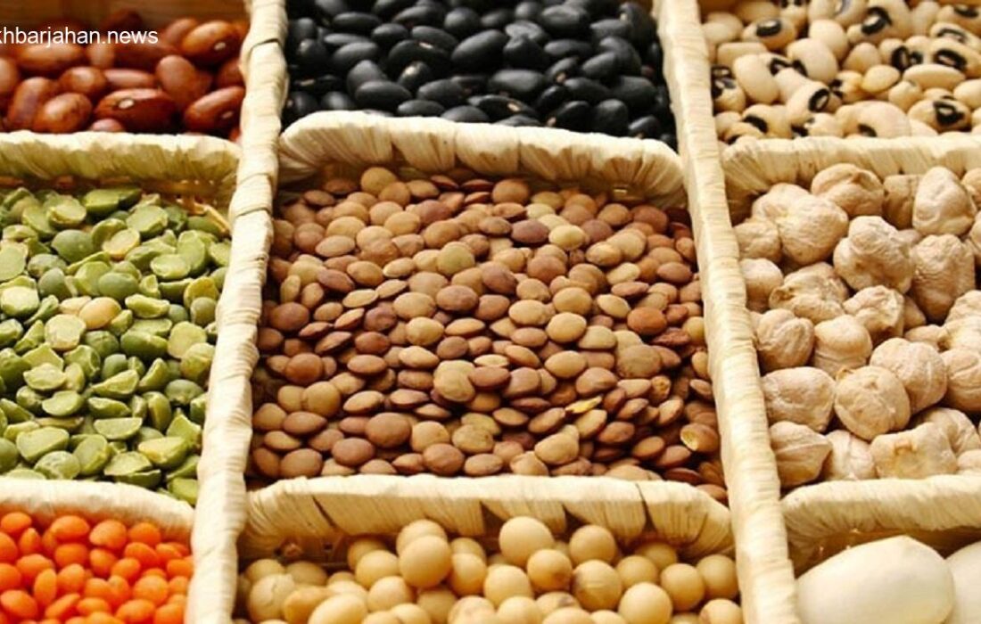 تامین ۸۵ درصد حبوبات مورد نیاز کشور از تولیدات داخلی